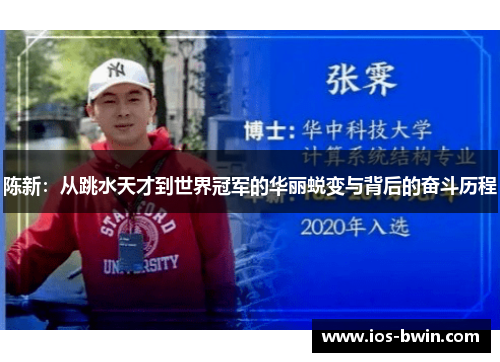 陈新：从跳水天才到世界冠军的华丽蜕变与背后的奋斗历程