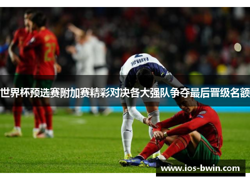 世界杯预选赛附加赛精彩对决各大强队争夺最后晋级名额