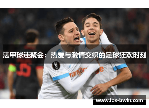 法甲球迷聚会：热爱与激情交织的足球狂欢时刻