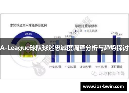 A-League球队球迷忠诚度调查分析与趋势探讨