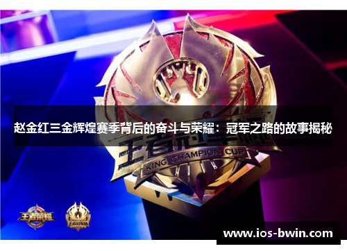 赵金红三金辉煌赛季背后的奋斗与荣耀：冠军之路的故事揭秘