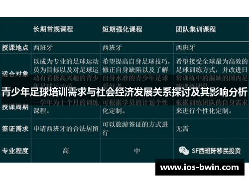 青少年足球培训需求与社会经济发展关系探讨及其影响分析
