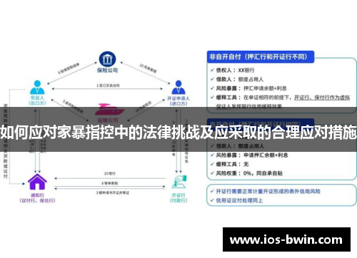 如何应对家暴指控中的法律挑战及应采取的合理应对措施