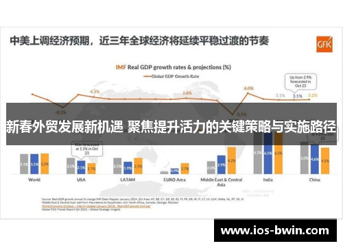 新春外贸发展新机遇 聚焦提升活力的关键策略与实施路径